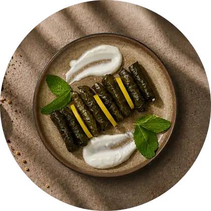 Green Rolls — Weinblätter mit gewürztem Reis, warm serviert.